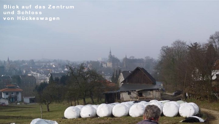GTW-12km_050311_06a.JPG - Der Blick über den Hof Aue gehört zu den schönsten auf die Altstadt und den Schlossberg.