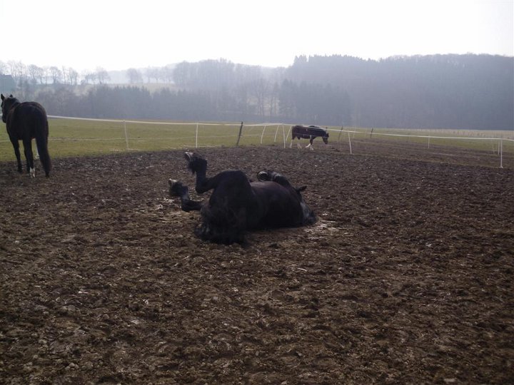 GTW-12km_050311_12.JPG - ... hier darf ich's sein.