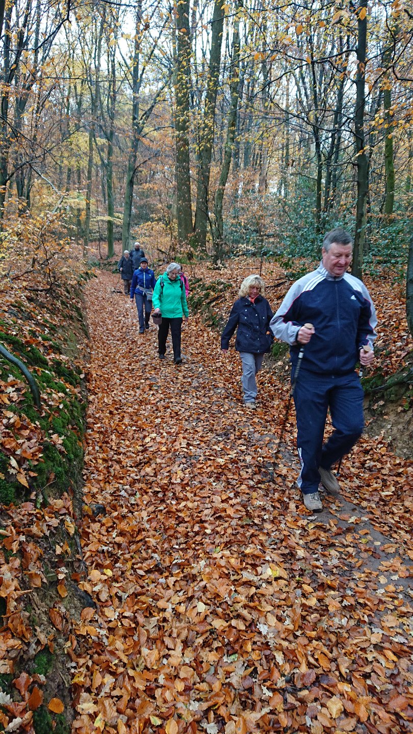 GTW-101118 Dhuenn 01