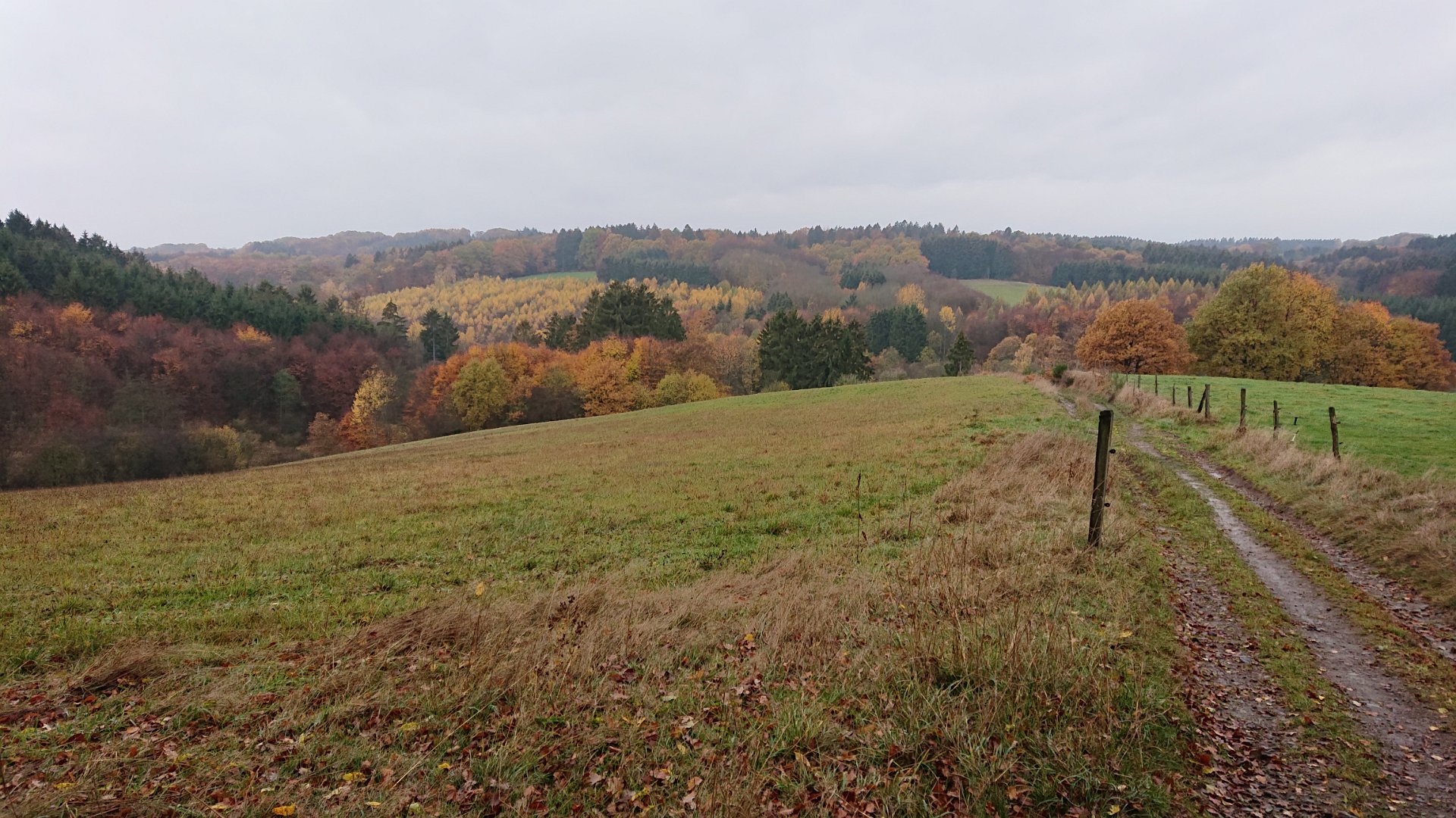 GTW-101118 Dhuenn 02