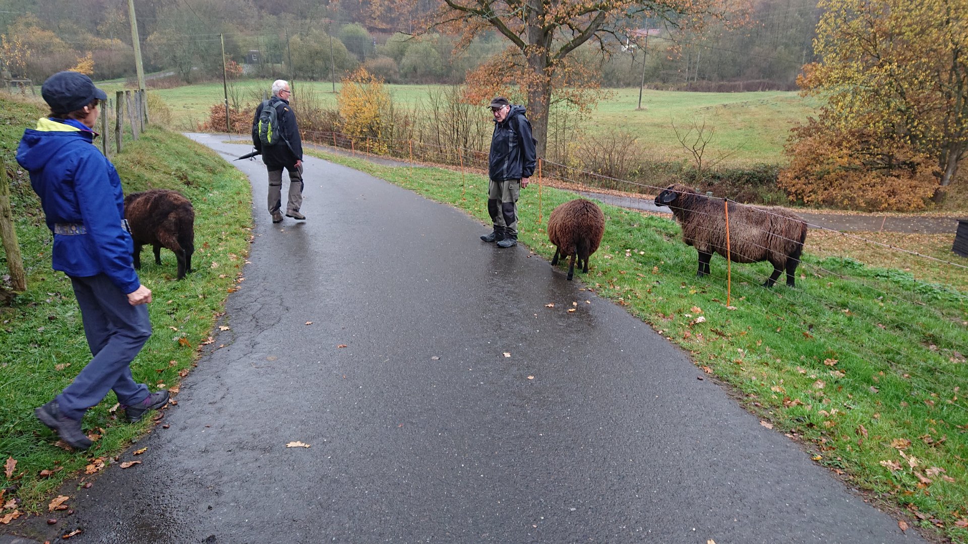 GTW-101118 Dhuenn 05