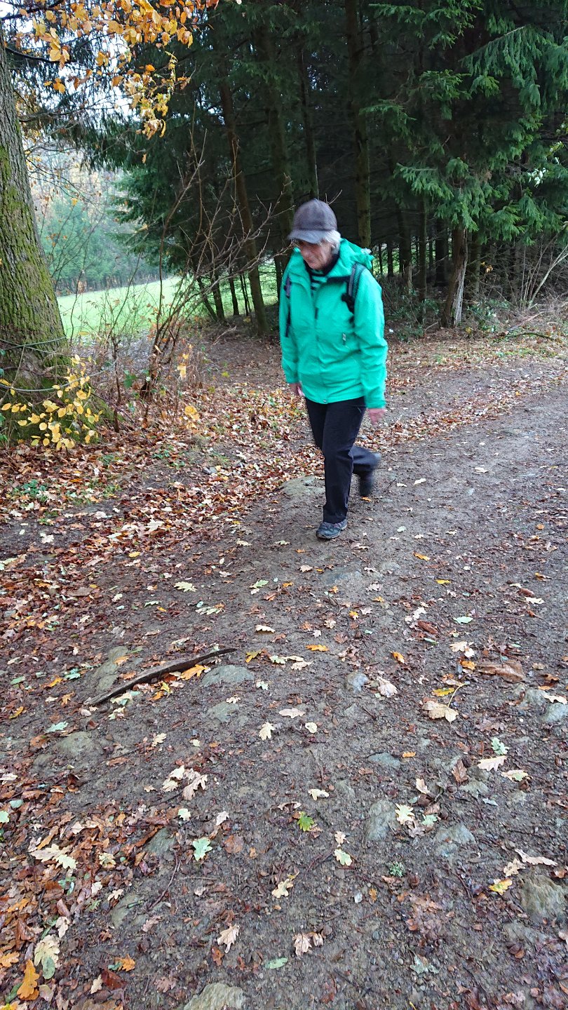 GTW-101118 Dhuenn 07