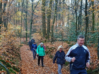 GTW-101118 Dhuenn 01  Auf dem Pfad von Siefen nach Oberpilghausen