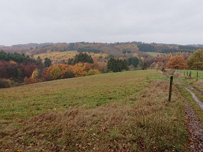 GTW-101118 Dhuenn 02  Herbstlich gefärbter Blick über das Tal der Kleinen Dhünn