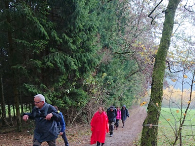 GTW-101118 Dhuenn 08  So kann man den Schirm auch benutzen :-).