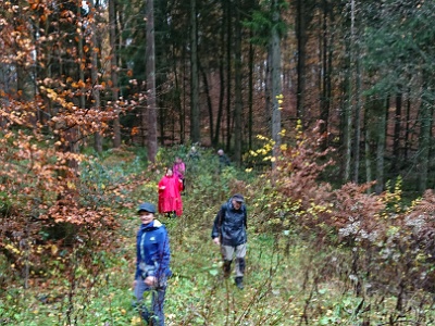 GTW-101118 Dhuenn 12  Von Unterberg geht es auf wenig benutztem Pfad hinunter zur Vorsperre Große Dhünn.