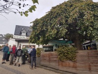 GTW-220918 Kuerten mk 03  Zunächst geht es hinunter ins Tal der Sülz.