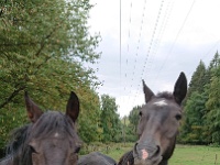 GTW 22-09-18 Kuerten-pre 25  Hello, it's me!