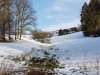 GTW020219 mar 05  Blick hoch zur Runkelsiedlung