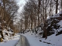 GTW020219 mar 08  Auf der ehemaligen Trasse der Wippertalbahn