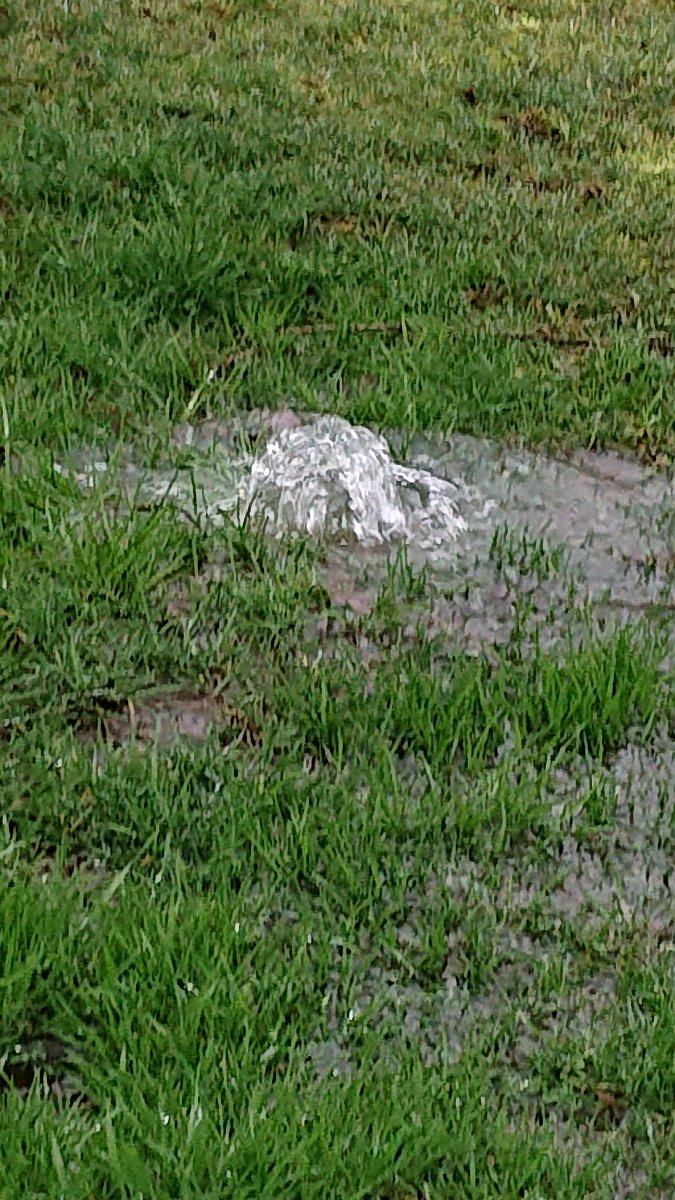 GTW-020220 BB joe 02