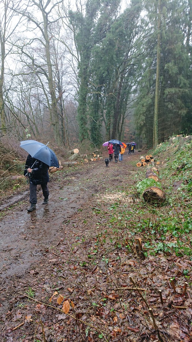 GTW-020220 BB joe 03