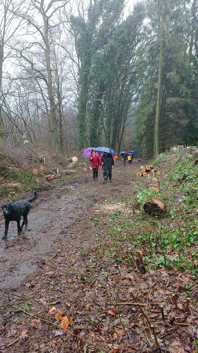 GTW-020220 BB joe 04