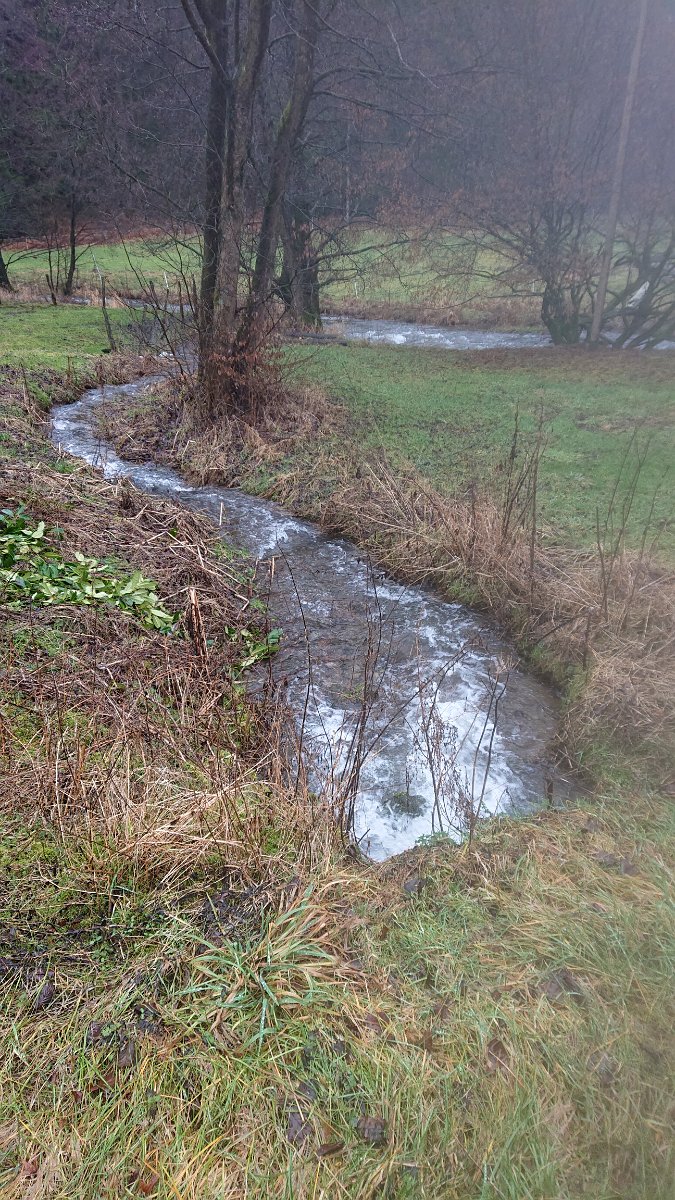 GTW-020220 BB joe 05