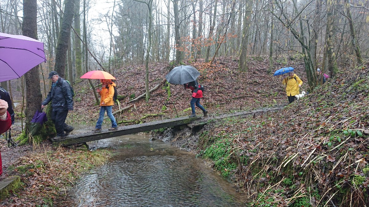 GTW-020220 BB joe 06