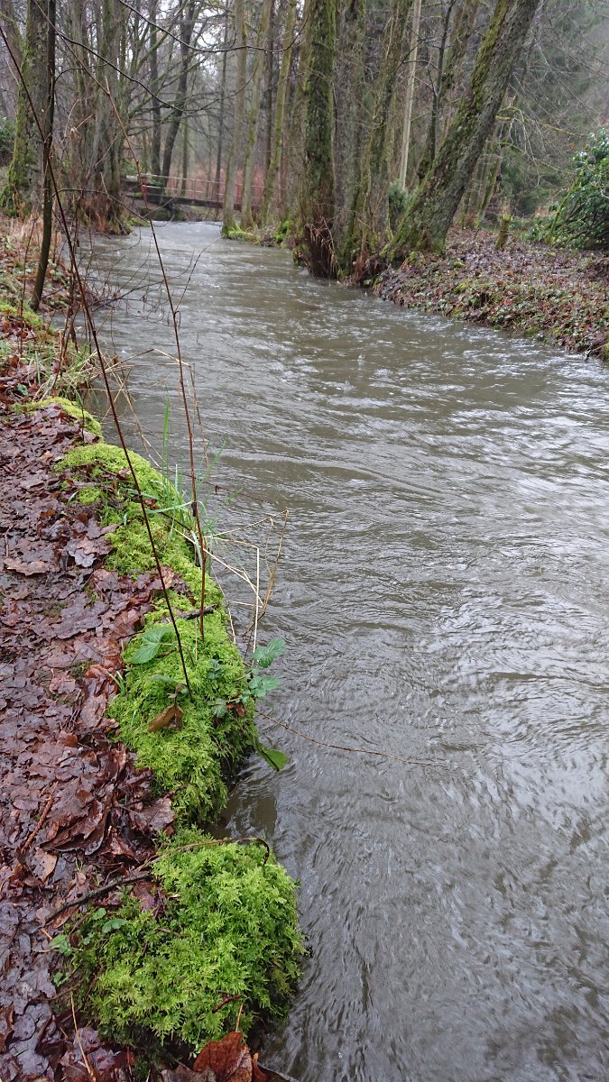 GTW-020220 BB joe 07