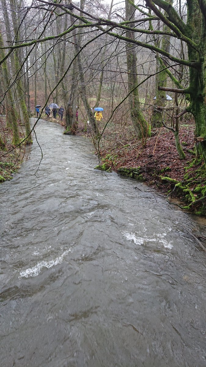 GTW-020220 BB joe 08