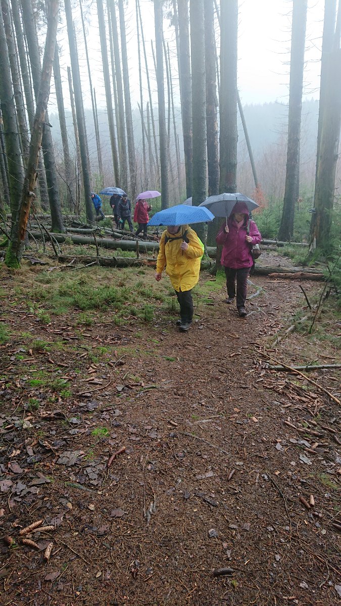 GTW-020220 BB joe 10