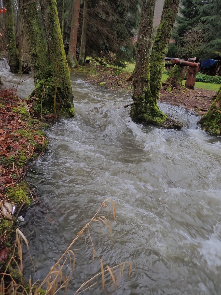 GTW-020220 BB mar 10