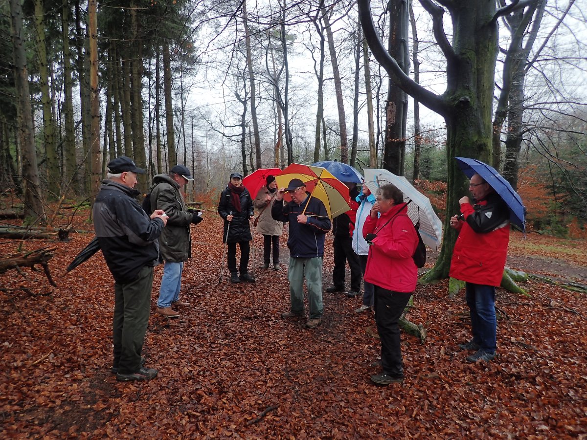 GTW-020220 BB mar 13