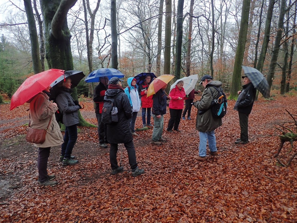 GTW-020220 BB mar 14