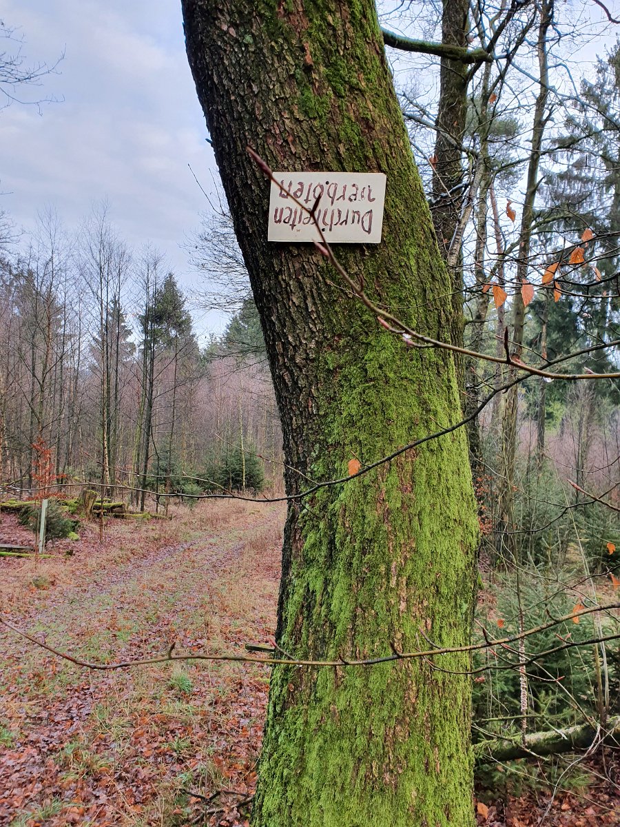 GTW-020220 BB pre 01