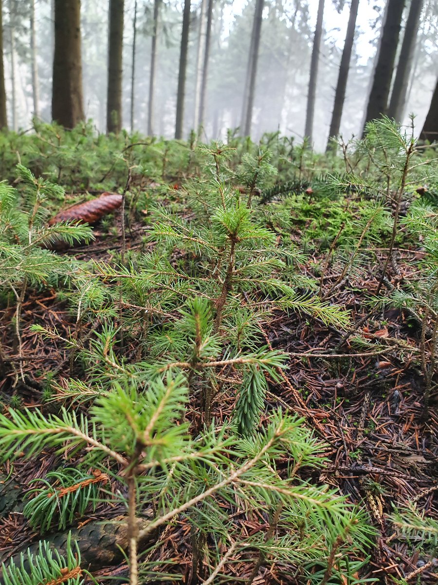 GTW-020220 BB pre 02