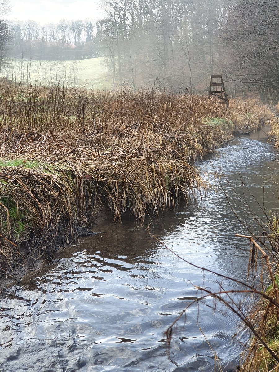 GTW-020220 BB pre 03