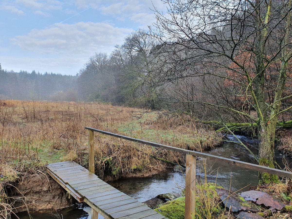 GTW-020220 BB pre 04