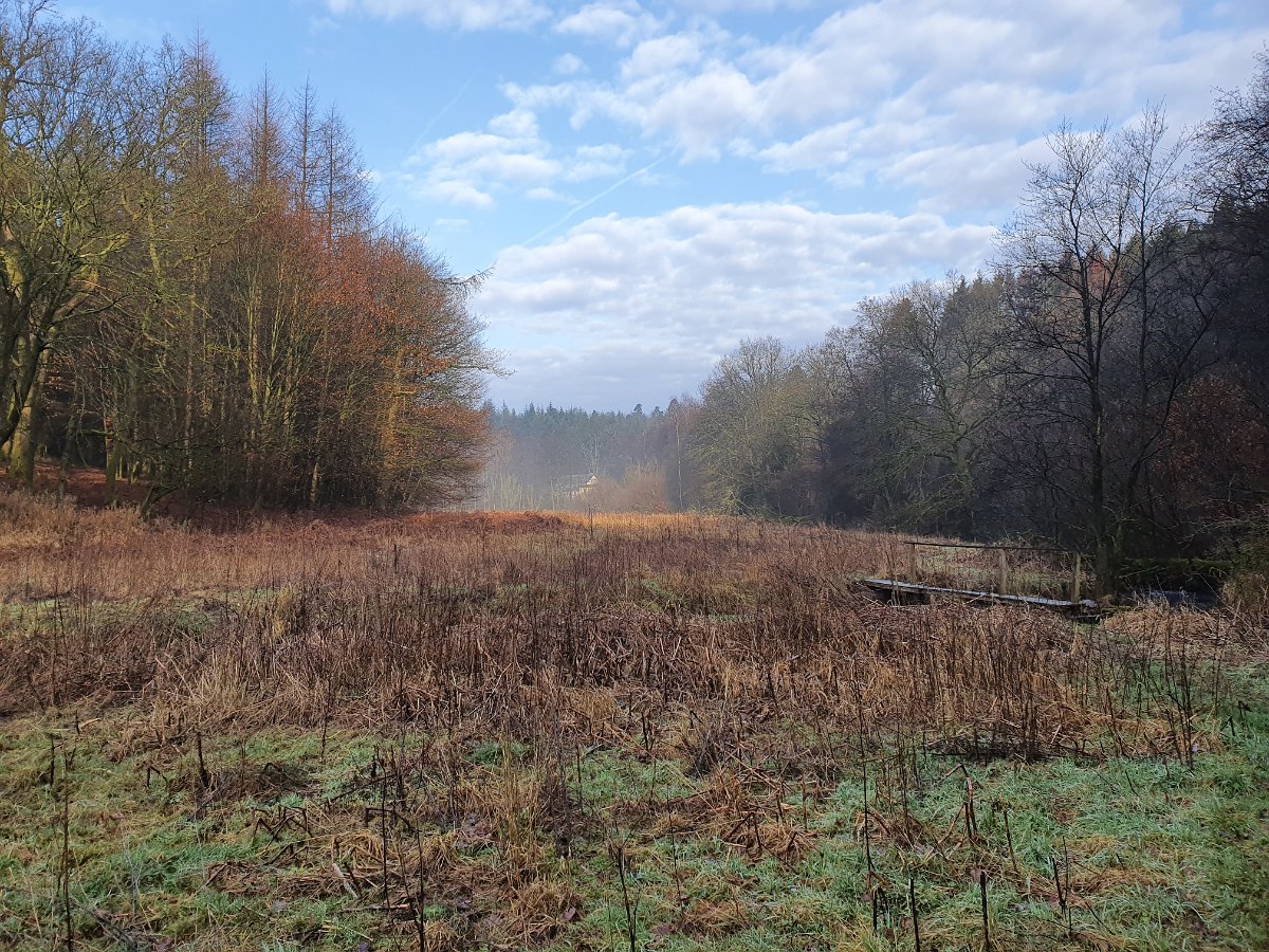 GTW-020220 BB pre 05