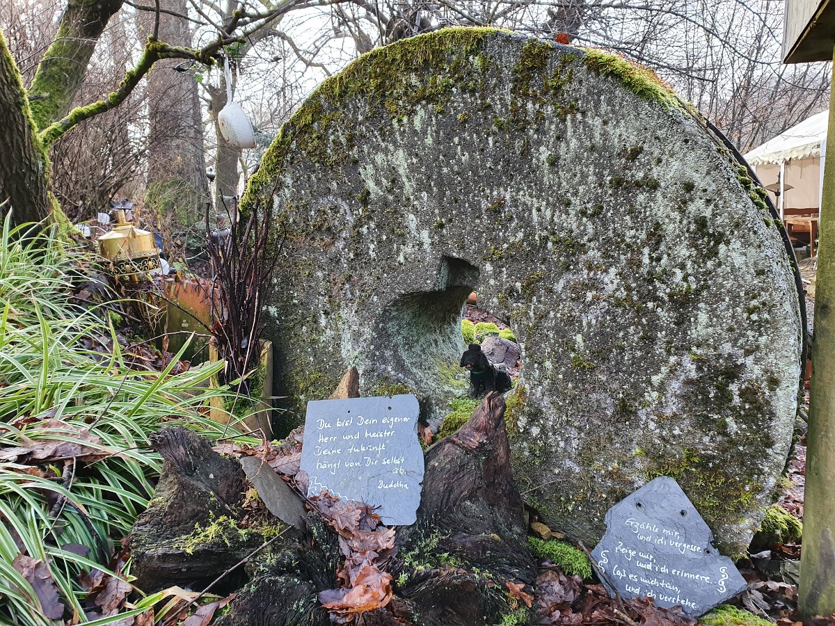 GTW-020220 BB pre 08