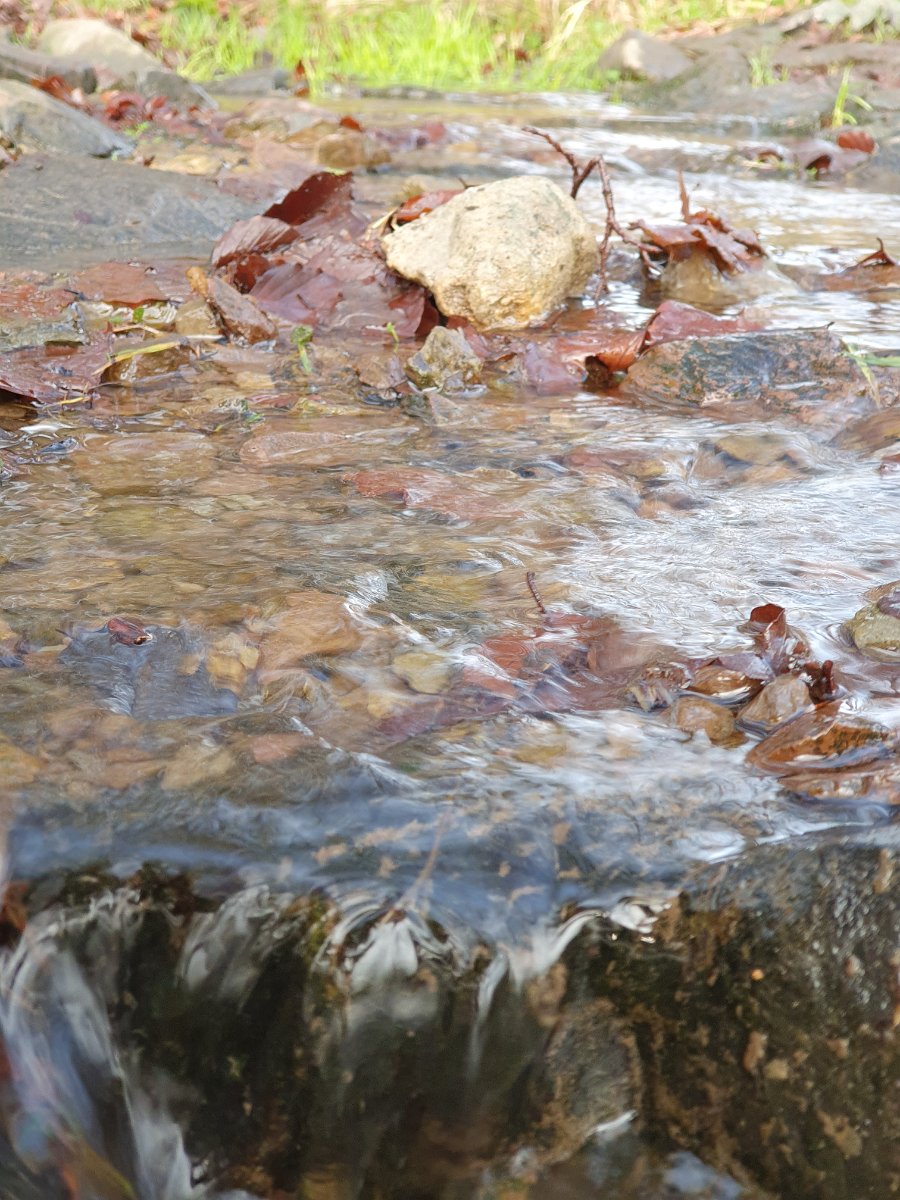 GTW-020220 BB pre 14