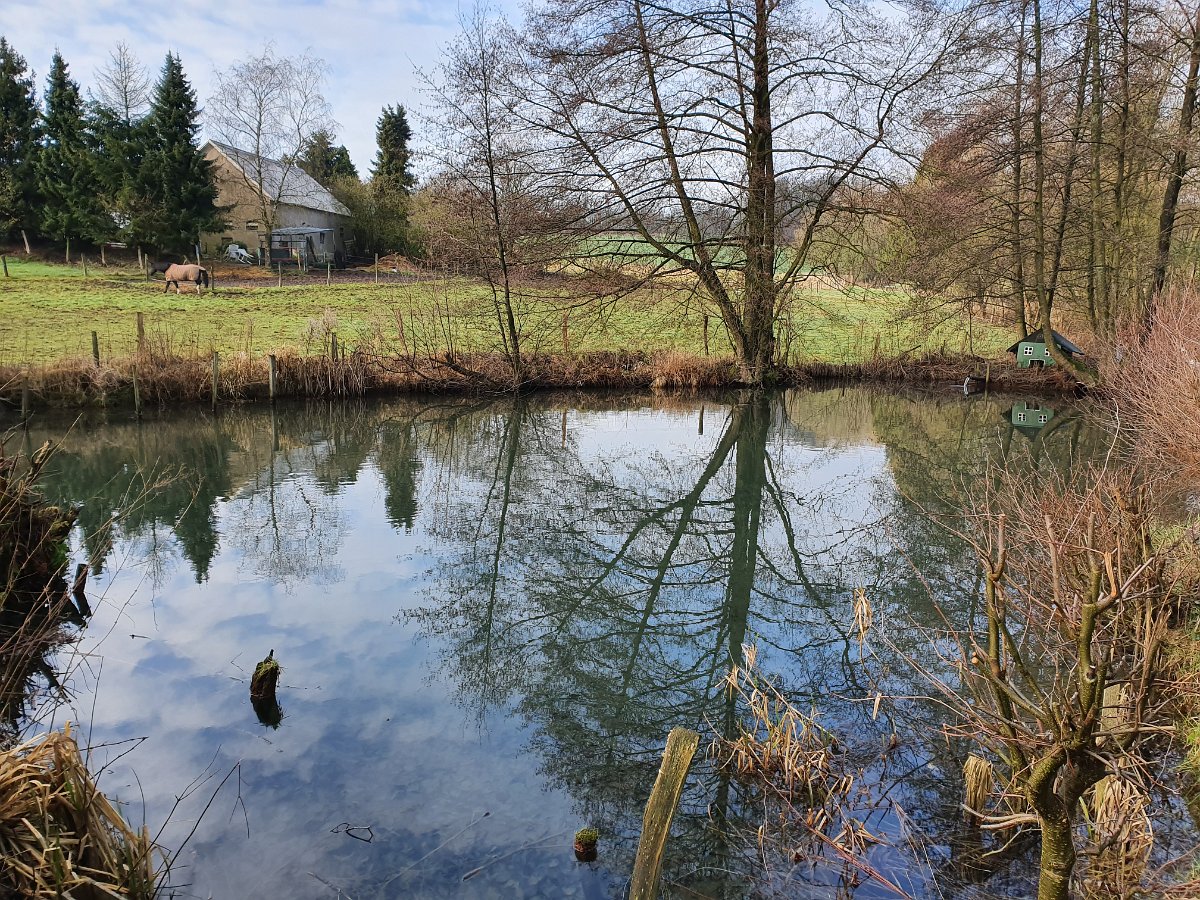 GTW-020220 BB pre 15