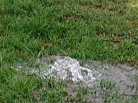 GTW-020220 BB joe 02  GS: Ein "Wiesengeysir" im Feldbachtal