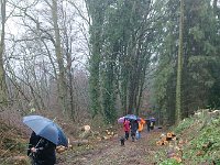 GTW-020220 BB joe 03  GS: Die Wege haben unter der tagelangen Feuchtigkeit gelitten.