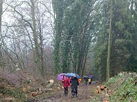 GTW-020220 BB joe 04  GS: Frodo scheint das nicht zu stören.