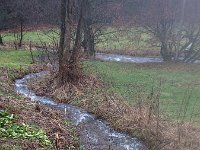 GTW-020220 BB joe 05  GS: An der Hangberg-Mühle fließt der Mühlenberger Bach in den Dörpebach.