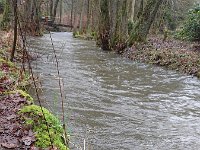 GTW-020220 BB joe 07  GS: 1 Stunde später war der linksseitige Pfad überschwemmt.