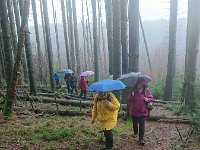 GTW-020220 BB joe 10  GS: Vom Goldenbergshammer ging es hinauf nach Oberlangenbach.