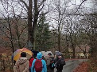 GTW-020220 BB mar 09  KS: Im Hintergrund erkennt man schon den Goldenbergshammer.