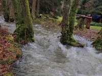 GTW-020220 BB mar 10  KS: Der Dörpebach hat ordentlich Wasser "getankt".