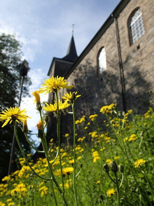 GTW 030618MK BeWaWo-pre 03