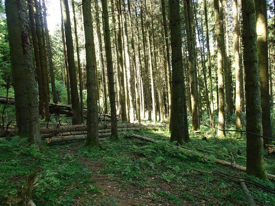 GTW 030618MK BeWaWo-pre 16