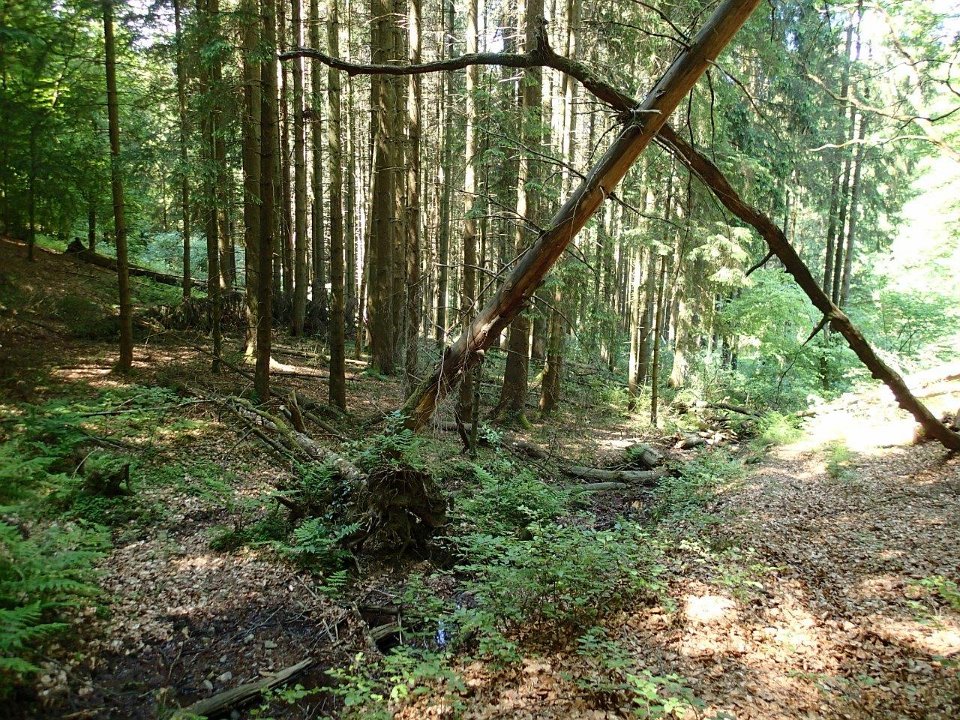 GTW 030618MK BeWaWo-pre 17