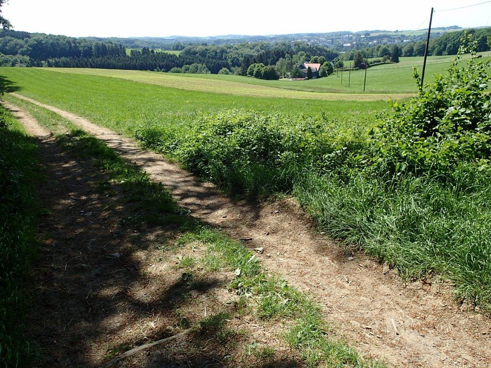 GTW 030618MK BeWaWo-pre 19