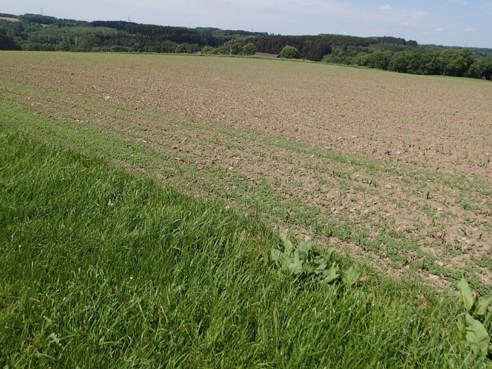 GTW 030618MK BeWaWo-pre 22