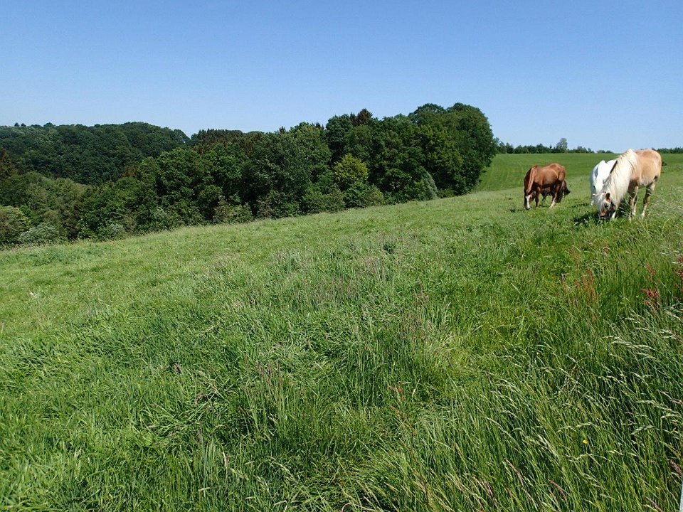 GTW 030618MK BeWaWo-pre 24