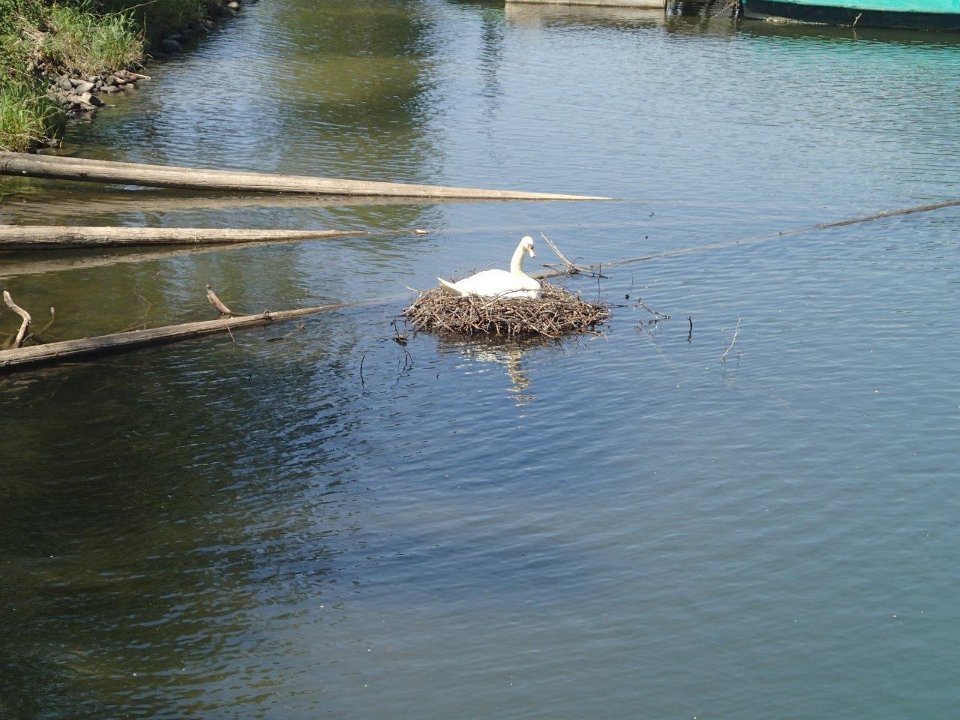 GTW 030618MK BeWaWo-pre 25