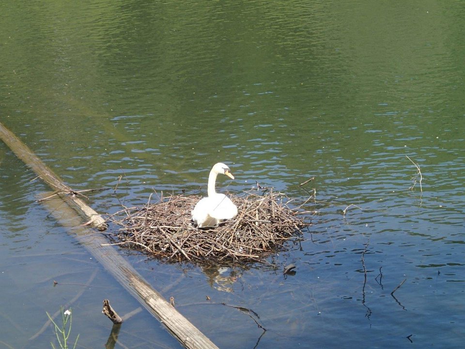 GTW 030618MK BeWaWo-pre 26