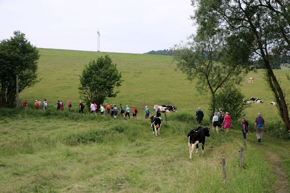 GTW 030618TS BeWaWo 03